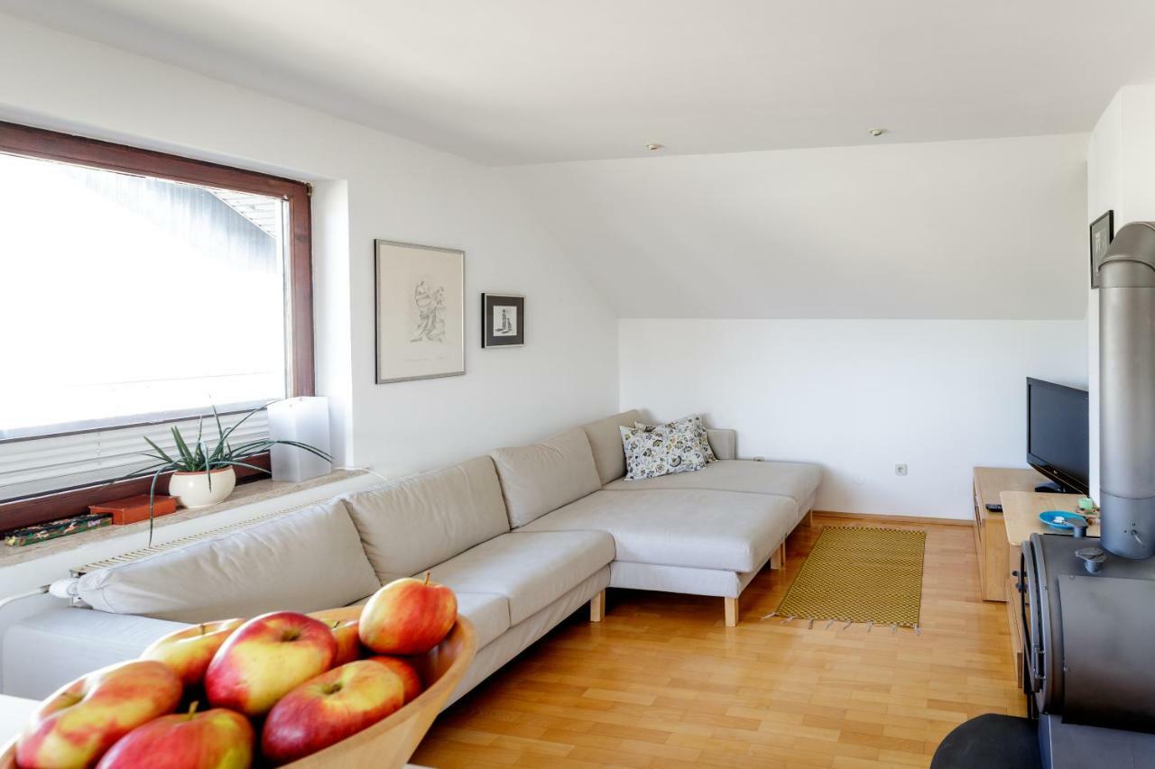 Cosy & Spacious Apt. Benc Zirovnica Exteriér fotografie