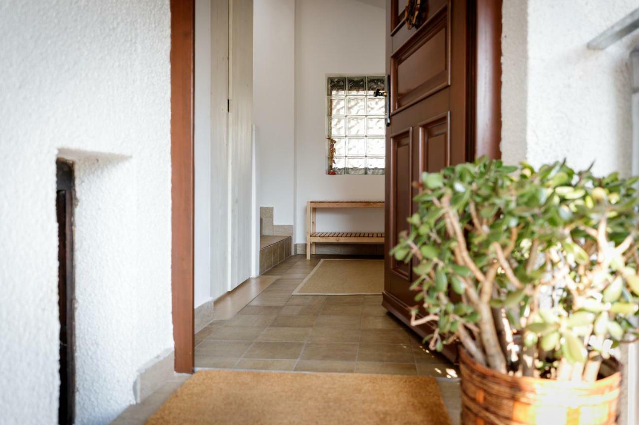 Cosy & Spacious Apt. Benc Zirovnica Exteriér fotografie