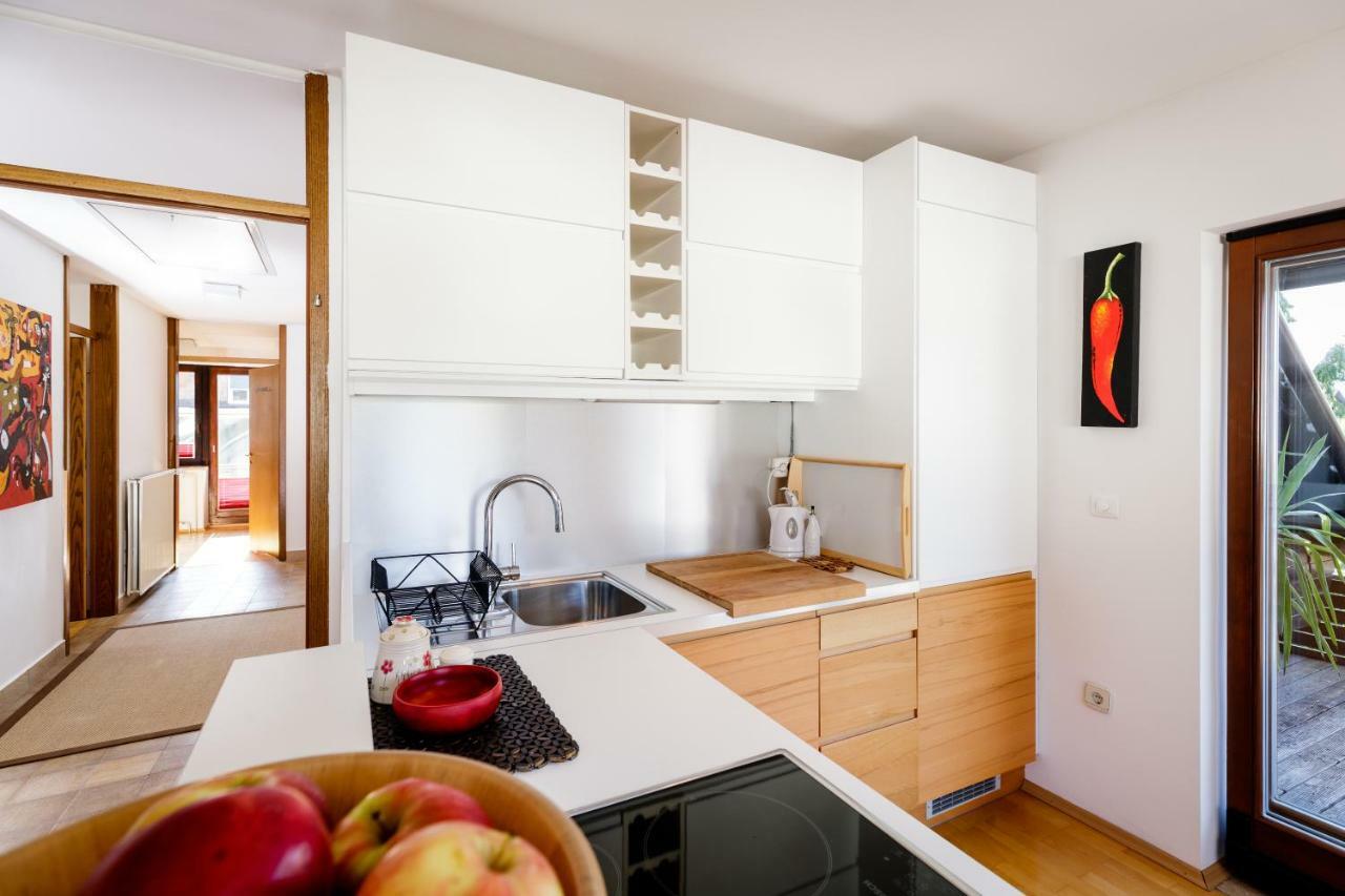 Cosy & Spacious Apt. Benc Zirovnica Exteriér fotografie