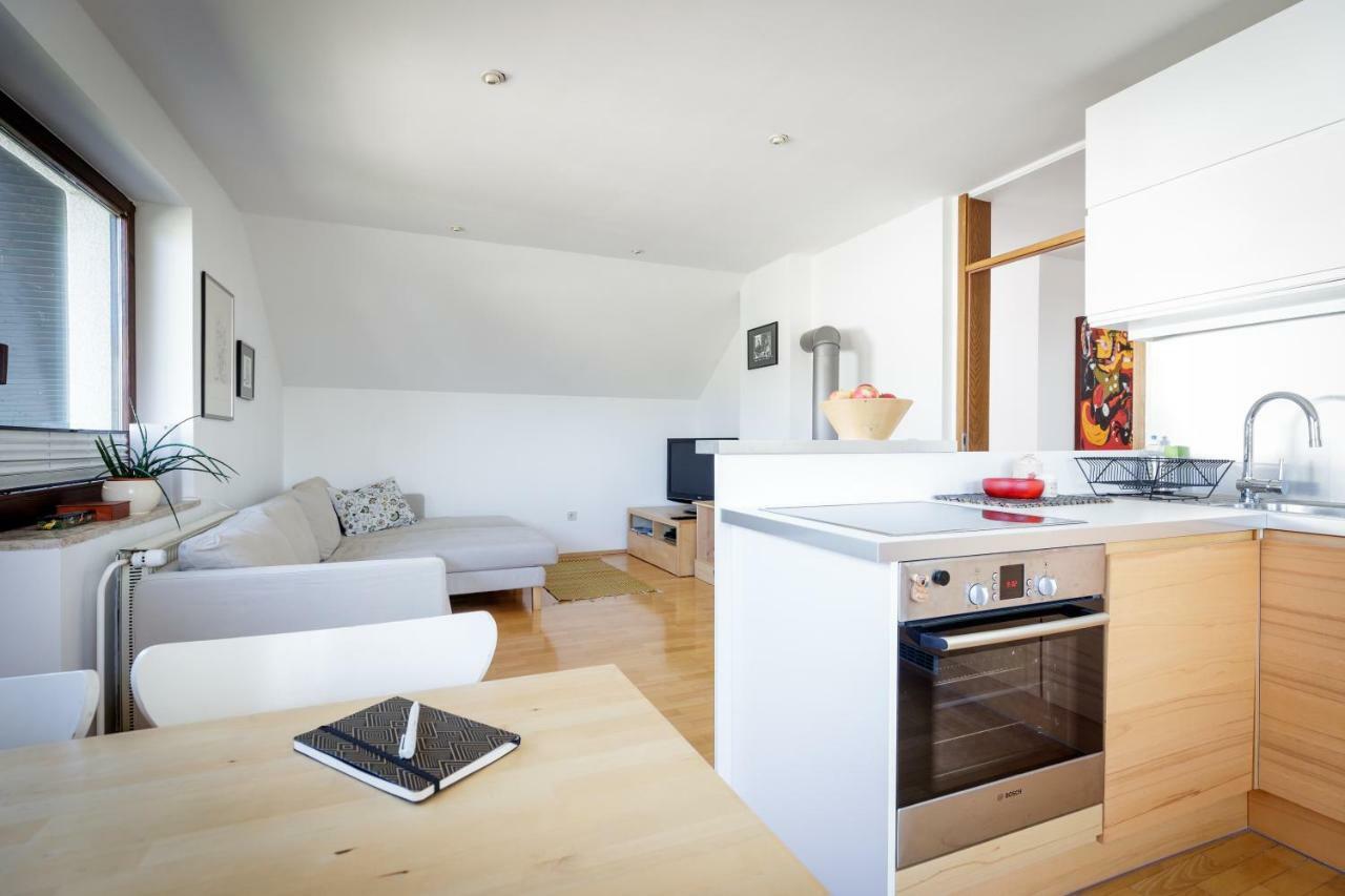 Cosy & Spacious Apt. Benc Zirovnica Exteriér fotografie